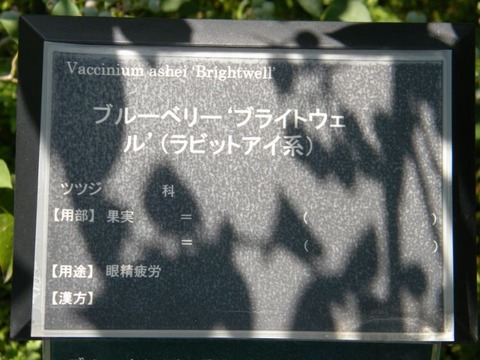 DSCN9445