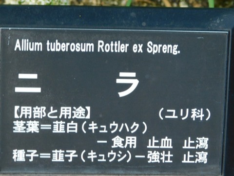 DSCN2715