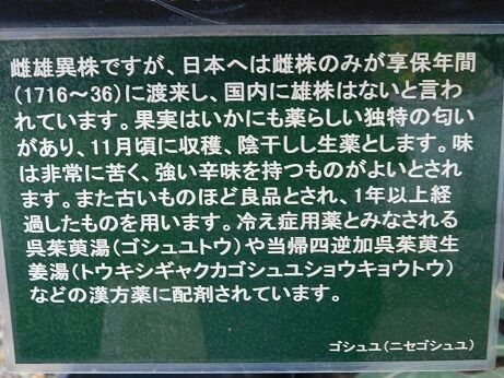 DSCN8759