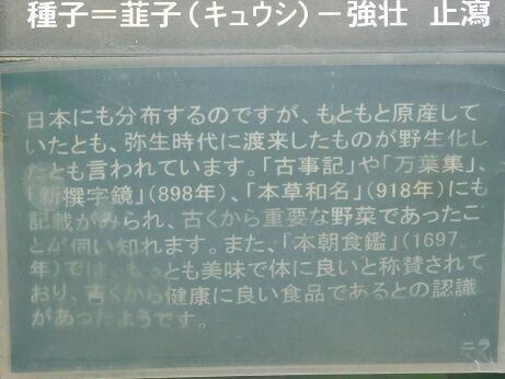 DSCN8404