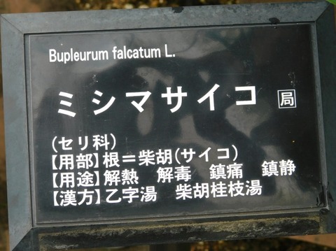 DSCN2607