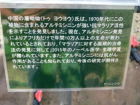 DSCN7326