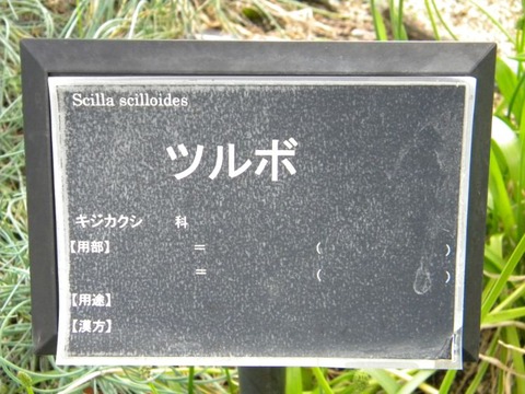 DSCN9996
