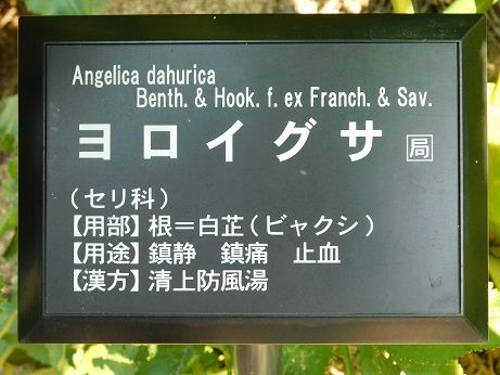 DSCN3254