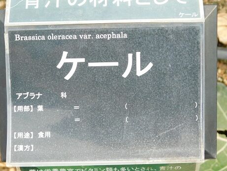 DSCN1049