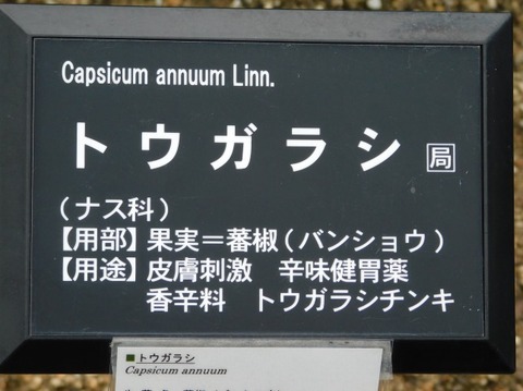 DSCN2347
