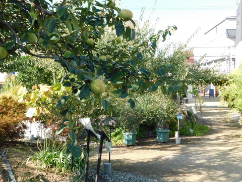 DSCN5443