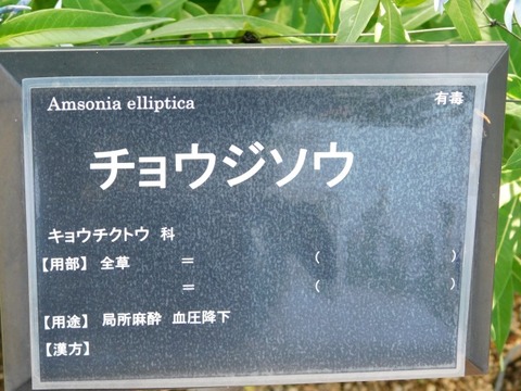 DSCN6584