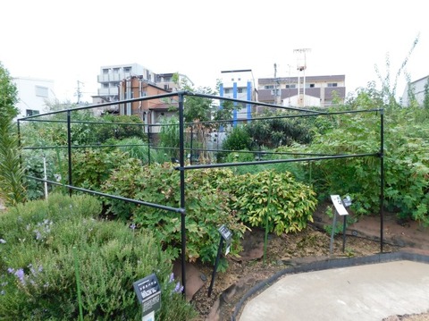DSCN2704