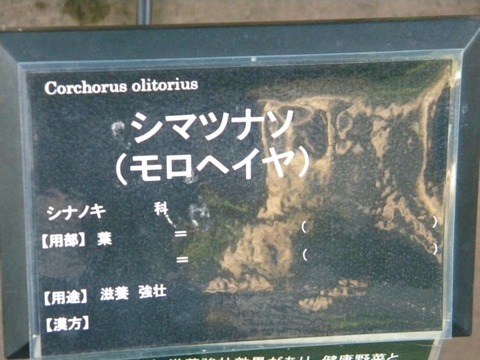 DSCN9970