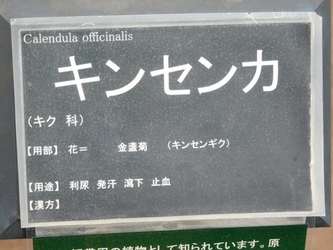 DSCN3659