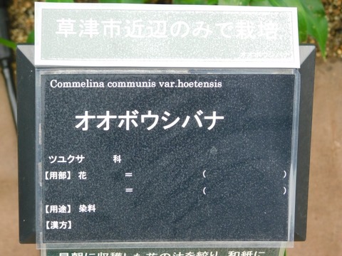 DSCN7092