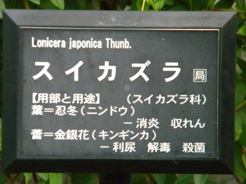 DSCN9893