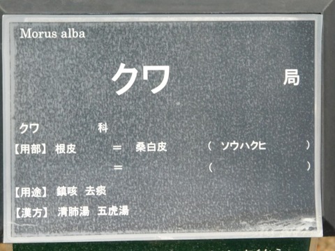 DSCN6468