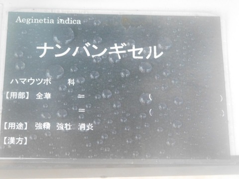 DSCN7277