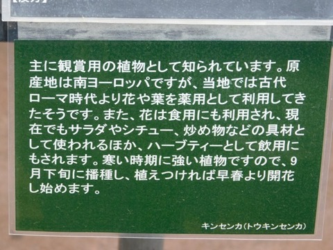 DSCN3660