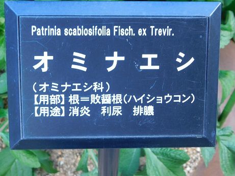 DSCN3602