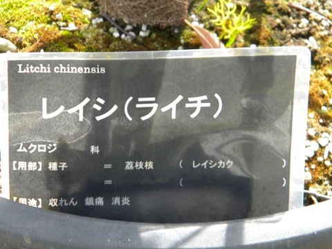DSCN9986