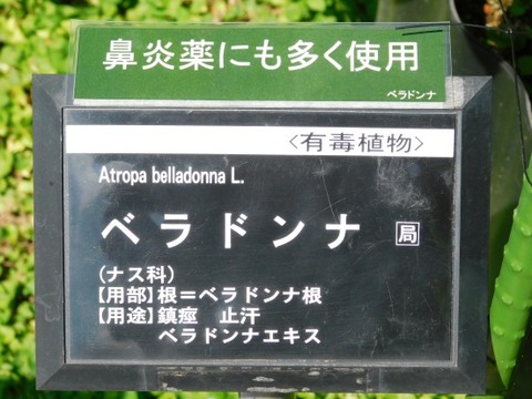 DSCN2187