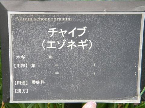 DSCN8988