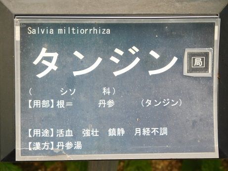 DSCN5440