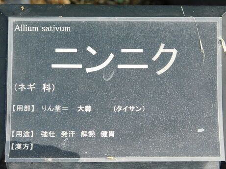 DSCN7863