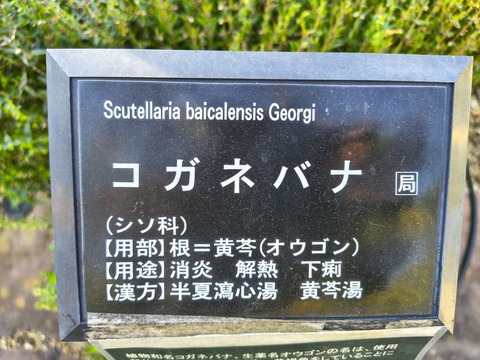 IMG_20261003_141025416_HDR