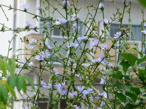 DSCN2106