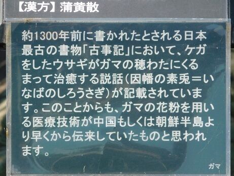 DSCN9835