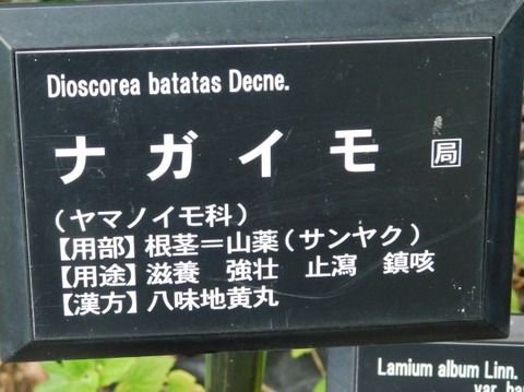 DSCN2628