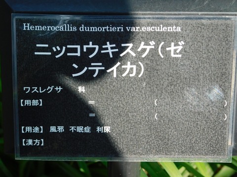 DSCN3935
