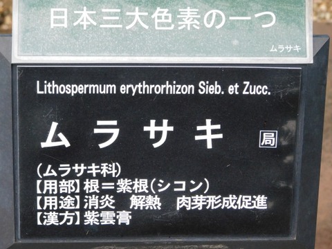 DSCN7128