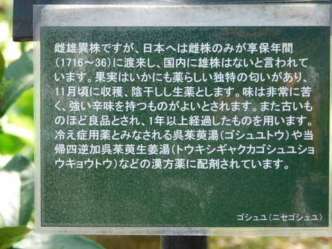 DSCN7302