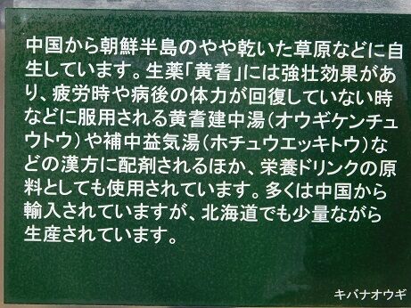 DSCN8255