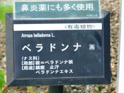 DSCN7430
