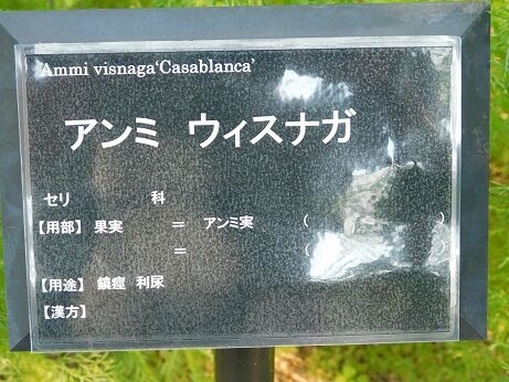 DSCN9858