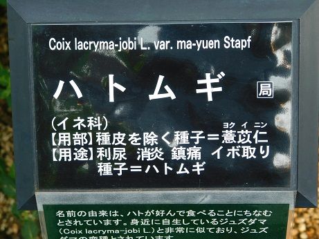DSCN5851