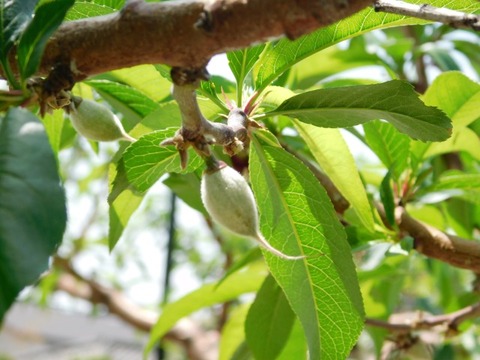 DSCN3916