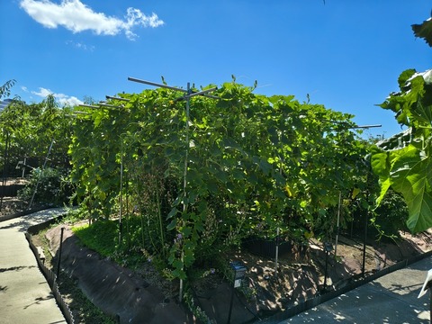 IMG_20260805_102229867_HDR