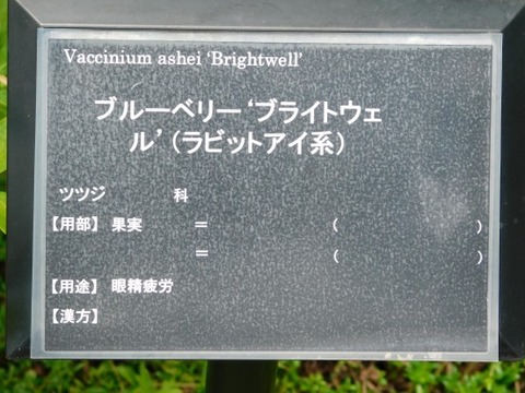 DSCN2100