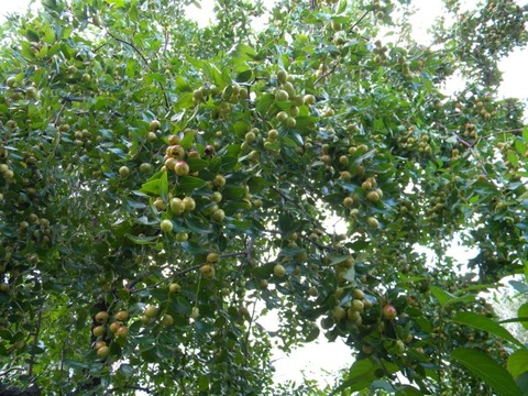 DSCN9879