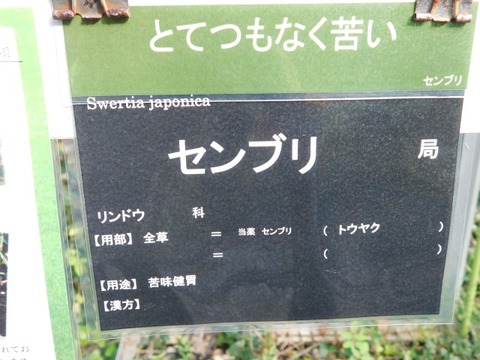 DSCN3086