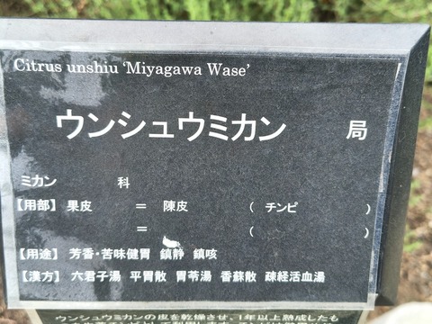 IMG_20260827_133538755_HDR