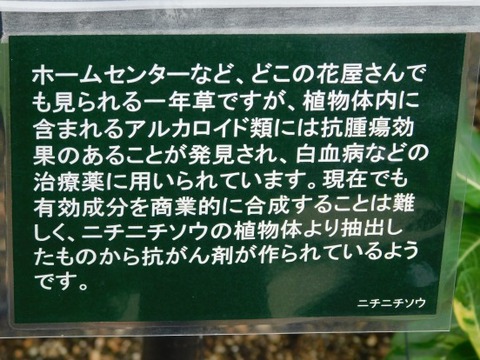 DSCN2295