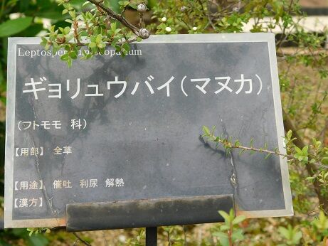 DSCN9575