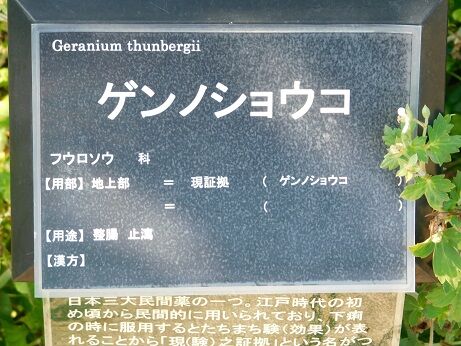 DSCN8412