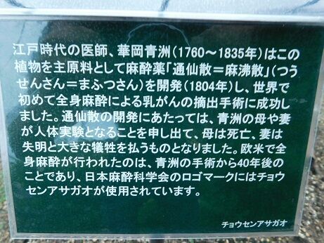 DSCN9919