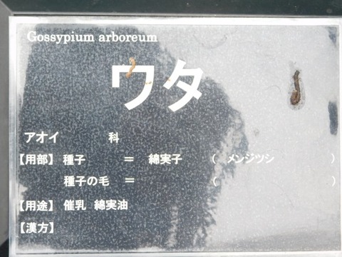 DSCN2309