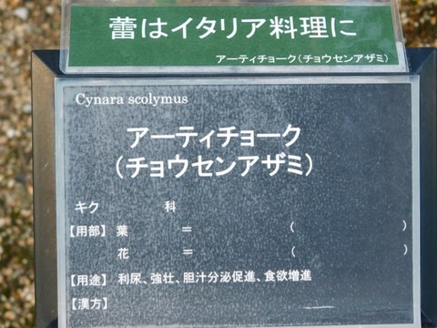 DSCN2718