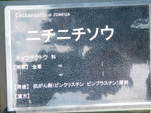 DSCN2368